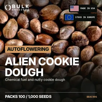 Alien Cookie Dough semillas de cannabis autoflorecientes a granel