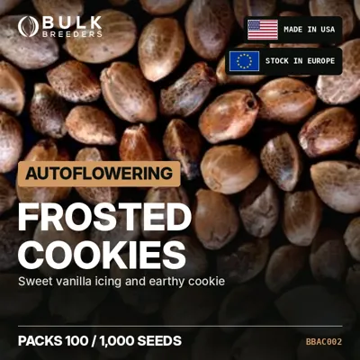 Frosted Cookies semillas de cannabis autoflorecientes a granel
