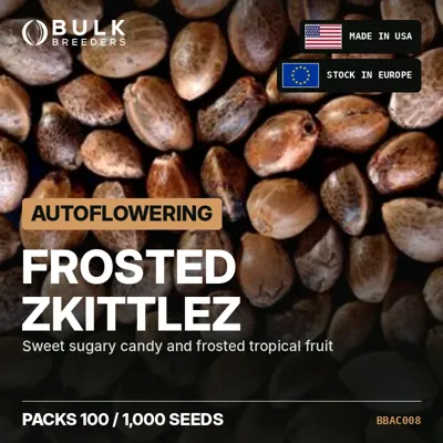 Frosted Zkittlez semillas de cannabis autoflorecientes a granel