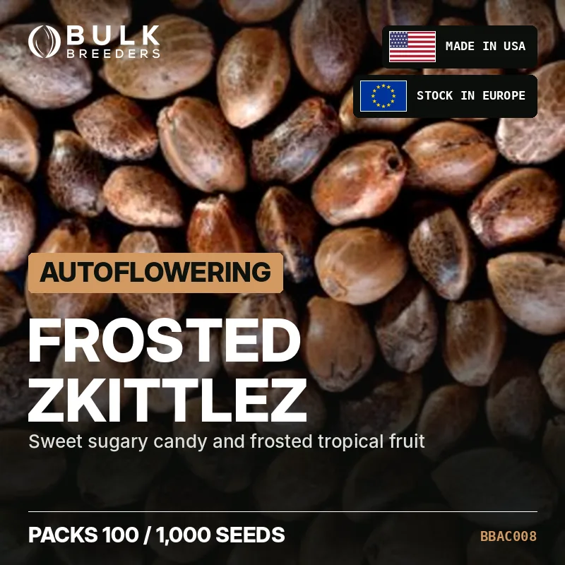 Semillas de cannabis autoflorecientes Frosted Zkittlez, pack a granel