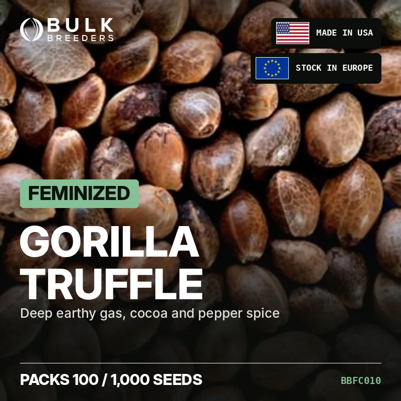 Gorilla Truffle feminisierte Cannabis Samen, Großhandelspack