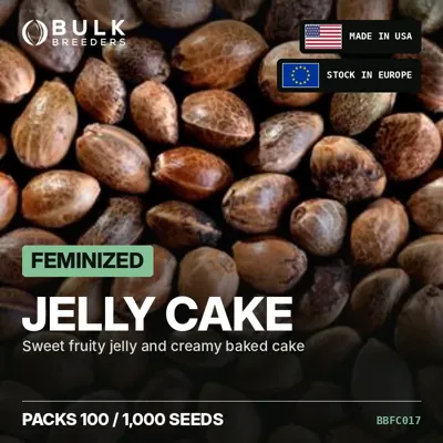 Jelly Cake semillas de cannabis feminizadas a granel