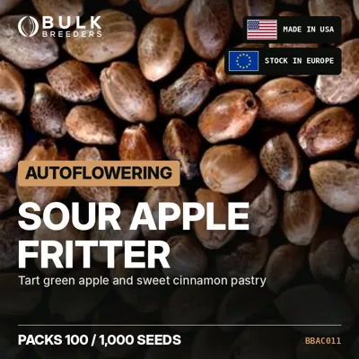 Sour Apple Fritter semillas de cannabis autoflorecientes a granel