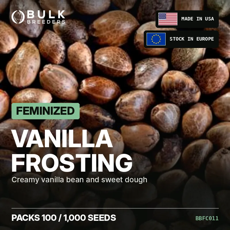 Semillas de cannabis feminizadas Vanilla Frosting, pack a granel