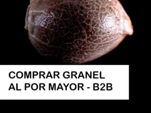 Semillas Granel para Profesionales: El Partner Estratégico para Grow Shops, Bancos de Semillas y Marcas de CBD