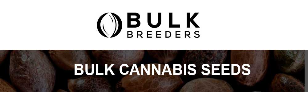 Bulk Cannabis Seeds