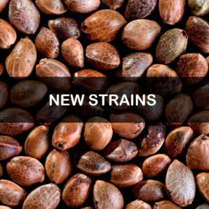 New Strains 2026